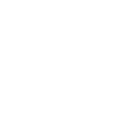 Branding and Graphics
